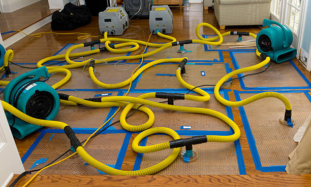 Professional Structural Drying And Dehumidification technician working in Lamont, MI